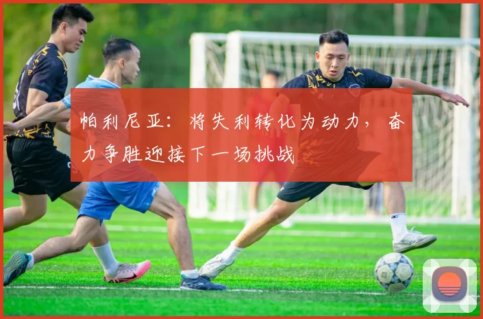 帕利尼亚：将失利转化为动力，奋力争胜迎接下一场挑战